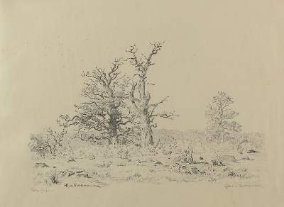 Bild Nr.1: 141-4580 Volkmann, Hans Richard von: (Künstlergraphik)
