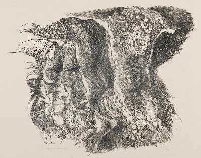 Bild Nr.1: 141-4631 Ziegler, Richard: (Künstlergraphik)