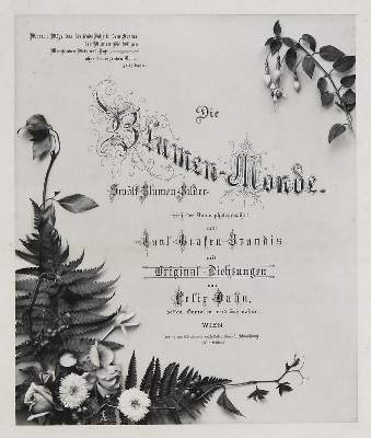 Bild Nr.32: 141-519 Rückgänge: (Varia)