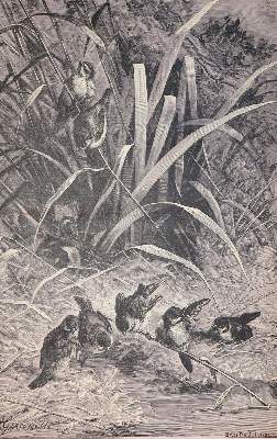 Bild Nr.22: 141-524 Rückgänge: (Varia)