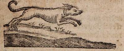 Bild Nr.2: 141-586 (Becher,J.J.: (Küche und Haushalt, Haushalt)