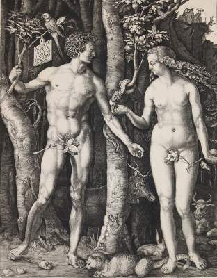 Bild Nr.1: 141-673 Duplessis,G.: (Dürer)
