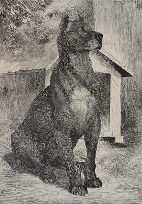 Bild Nr.3: 141-697 Lützow,K.v. (Hrsg.).: (Kunstwissenschaft)