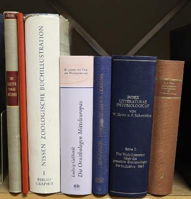 Bild Nr.3: 141-860 Sammlung: (Zoologie)