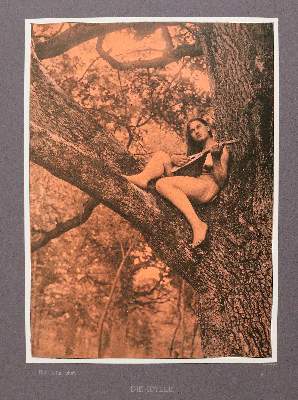 Bild Nr.2: 141-884 Meyer,B.: (Erotika - Galantes)