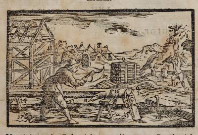 Bild Nr.4: 141-953 Sammlung: (Orbis pictus.)