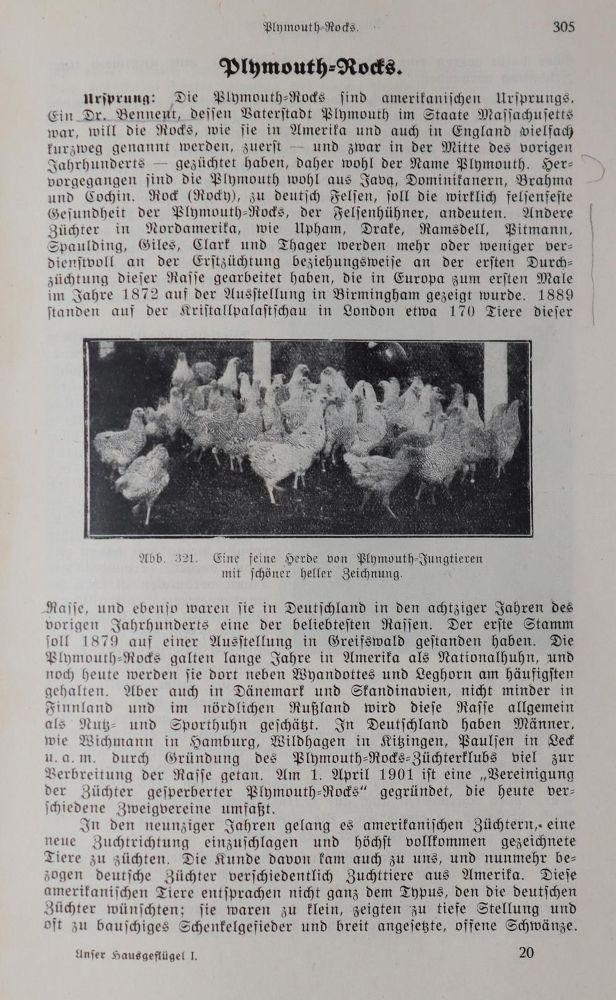 Große Abbildung Nr.2: 142-1002 Wulf,A.: (Land- und Forstwirtschaft, Tierhaltung, Geflügel)