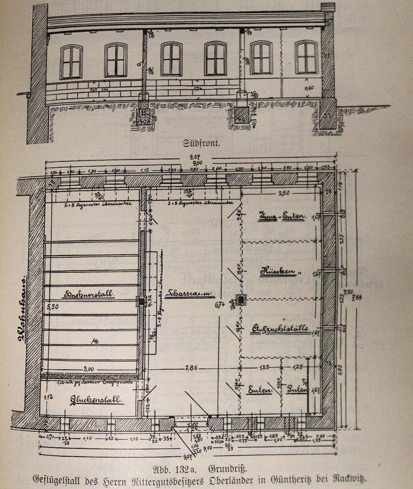 Große Abbildung Nr.5: 142-1004 Zander,K.: (Land- und Forstwirtschaft, Tierhaltung, Geflügel)