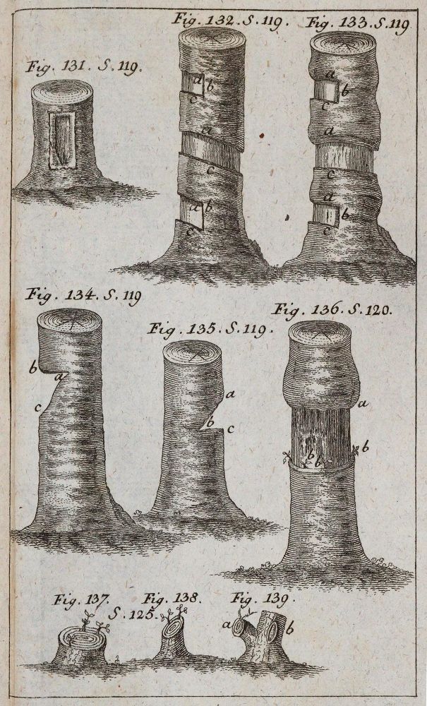 Große Abbildung Nr.4: 142-1005 Krünitz,J.G.: (Land- und Forstwirtschaft, Tierhaltung, Imkerei)