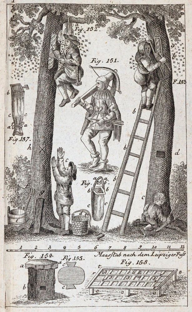 Große Abbildung Nr.5: 142-1005 Krünitz,J.G.: (Land- und Forstwirtschaft, Tierhaltung, Imkerei)