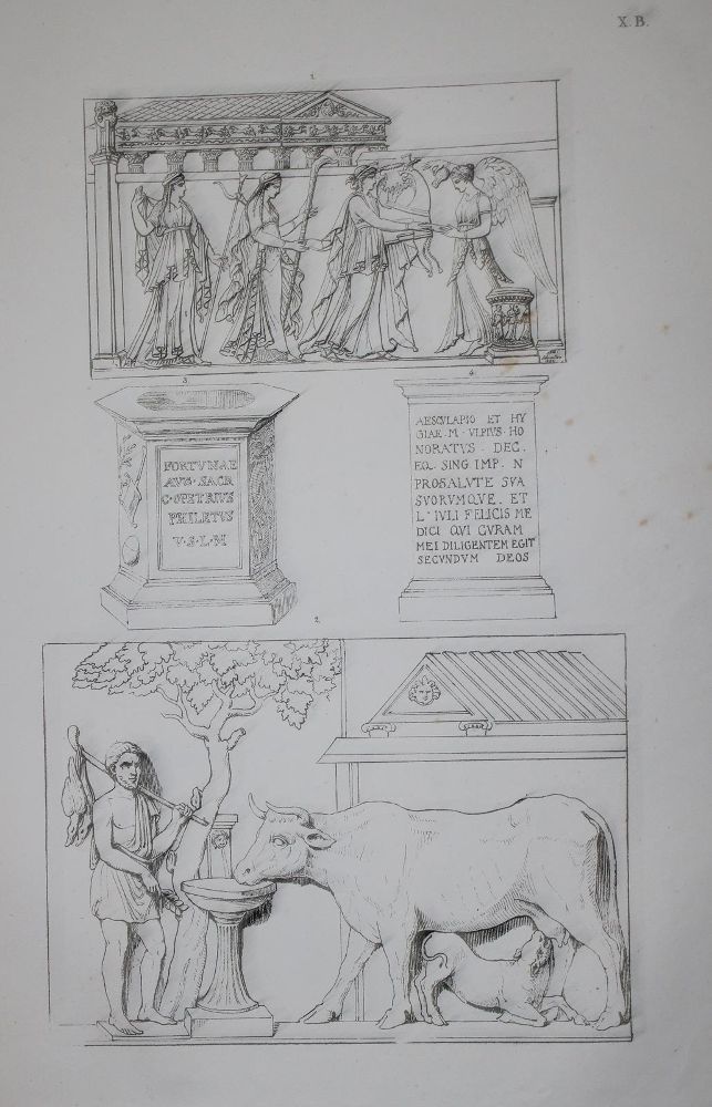 Große Abbildung Nr.3: 142-1015 Steinbüchel,A.v.: (Archäologie)