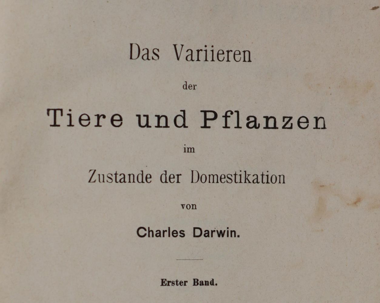 Große Abbildung Nr.1: 142-1033 Tacchi,A.: (Architektur)