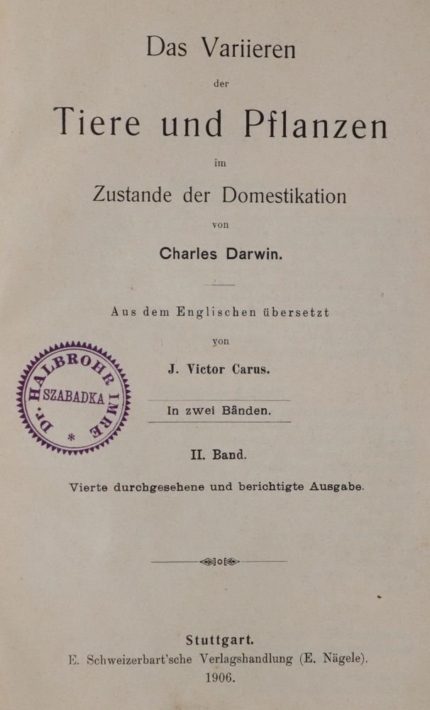 Große Abbildung Nr.2: 142-1033 Tacchi,A.: (Architektur)
