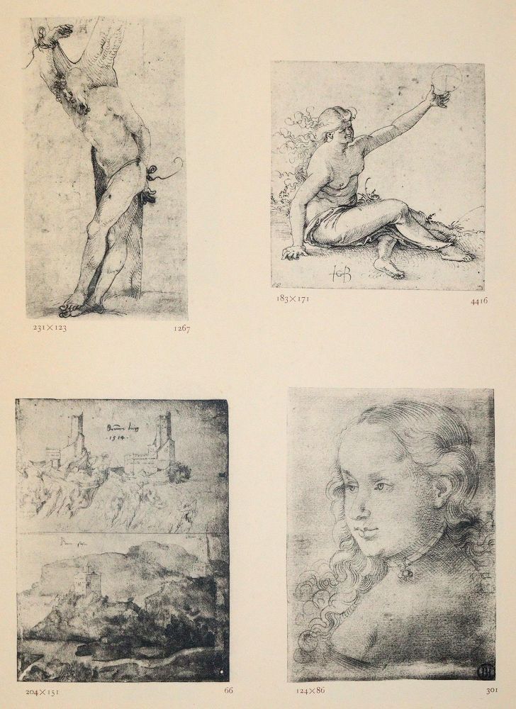 Große Abbildung Nr.3: 142-1040 Bock,E.: (Kunstwissenschaft)