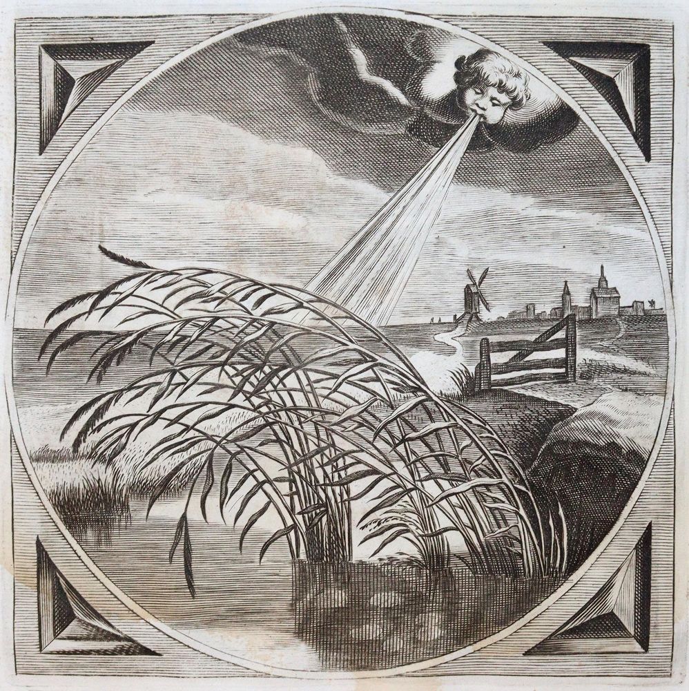 Große Abbildung Nr.3: 142-112 Cats,J.: (Emblemata)