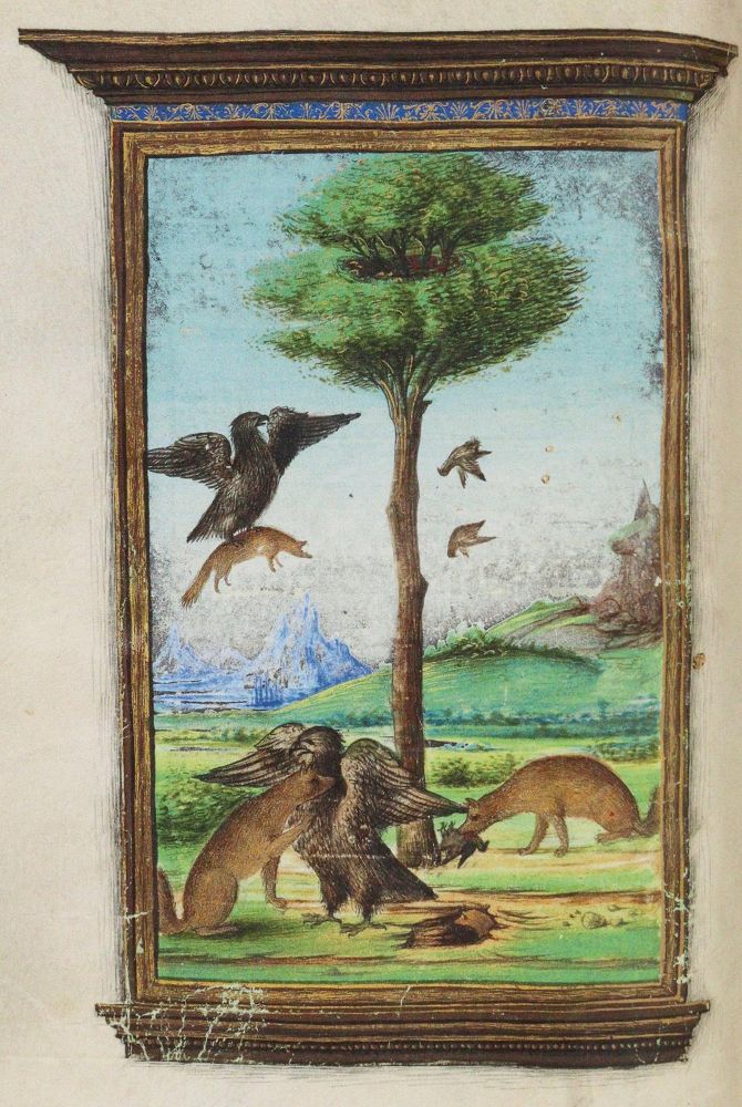Große Abbildung Nr.1: 142-1129 Aesop.: (Faksimile)