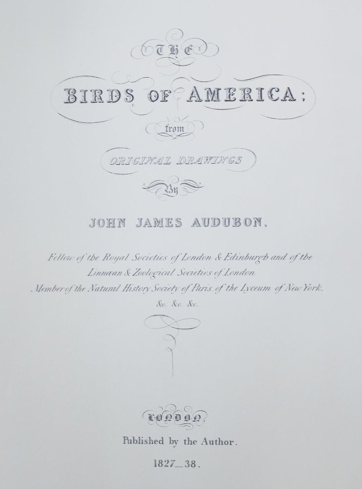 Große Abbildung Nr.11: 142-1133 Audubon,J.J.: (Faksimile)