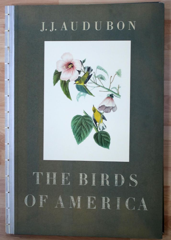 Große Abbildung Nr.12: 142-1133 Audubon,J.J.: (Faksimile)