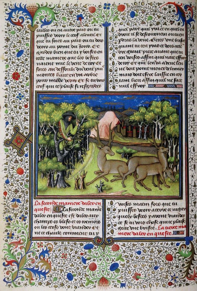 Große Abbildung Nr.1: 142-1182 Livre du Roy Modus, Le.: (Faksimile)