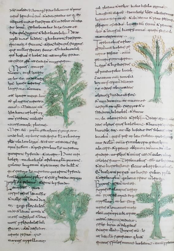 Große Abbildung Nr.1: 142-1192 Rabano,M.: (Faksimile)