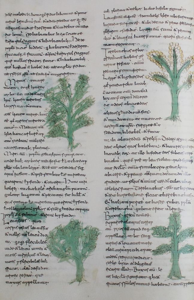 Große Abbildung Nr.4: 142-1192 Rabano,M.: (Faksimile)