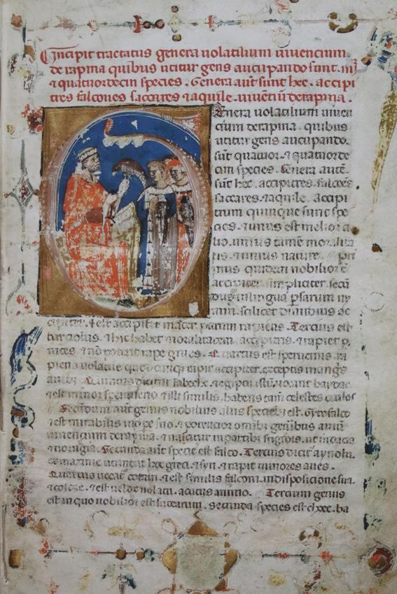 Große Abbildung Nr.1: 142-1215 Wiener Moamin.: (Faksimile)