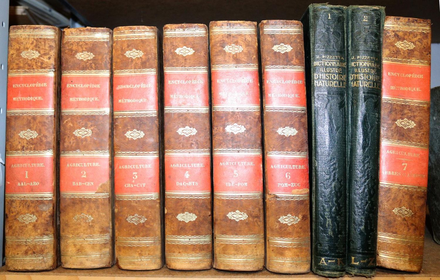 Große Abbildung Nr.2: 142-1230 Encyclopedie Methodique.: (Lexika - Wörterbücher - Sprachwissenschaften)
