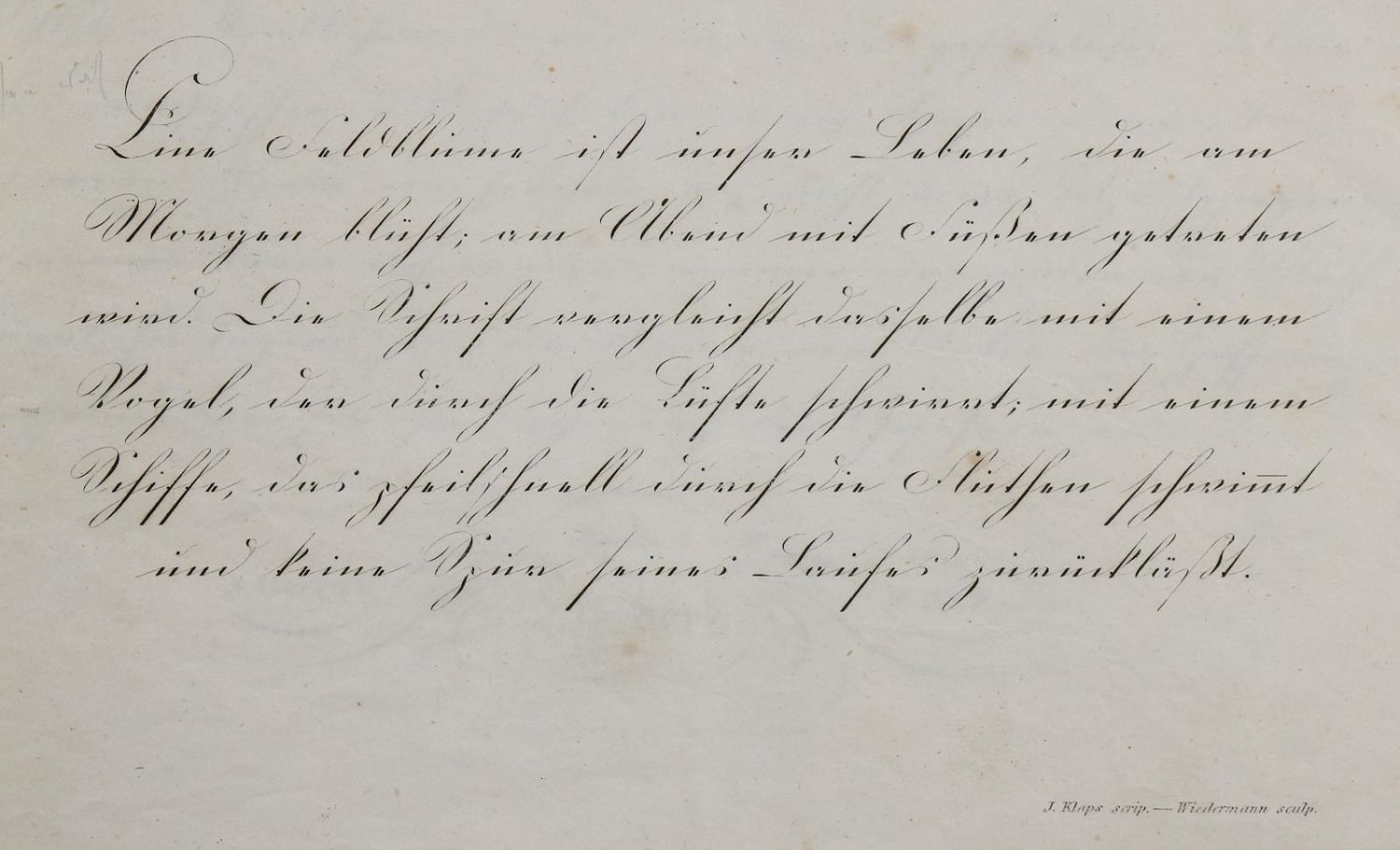 Große Abbildung Nr.2: 142-1273 Klaps,J.: (Typographie und Kalligraphie)