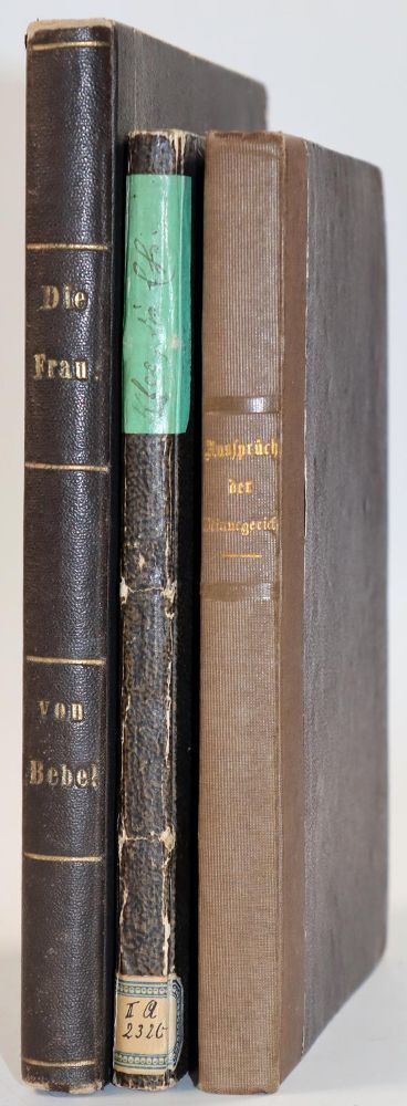 Große Abbildung Nr.2: 142-1289 Bebel,A.: (Kultur- und Sittengeschichte)
