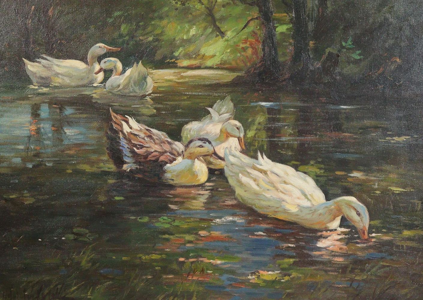 Große Abbildung Nr.1: 142-1344 Fünf schwimmende Enten.: (Kinder- und Jugendbücher)