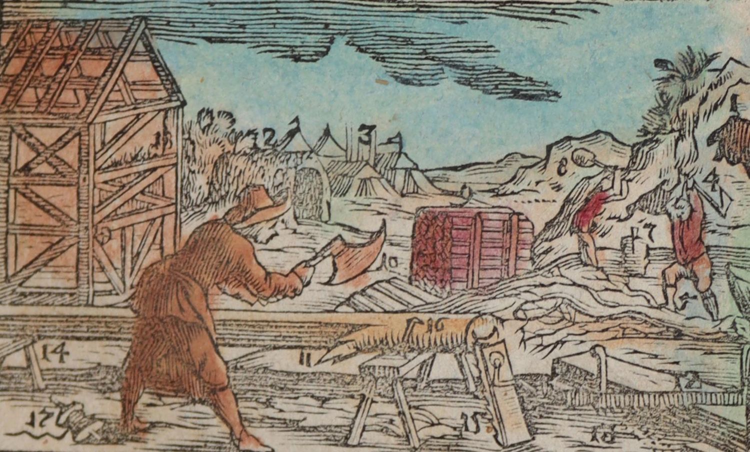 Große Abbildung Nr.2: 142-1355 Sammlung: (Orbis pictus.)