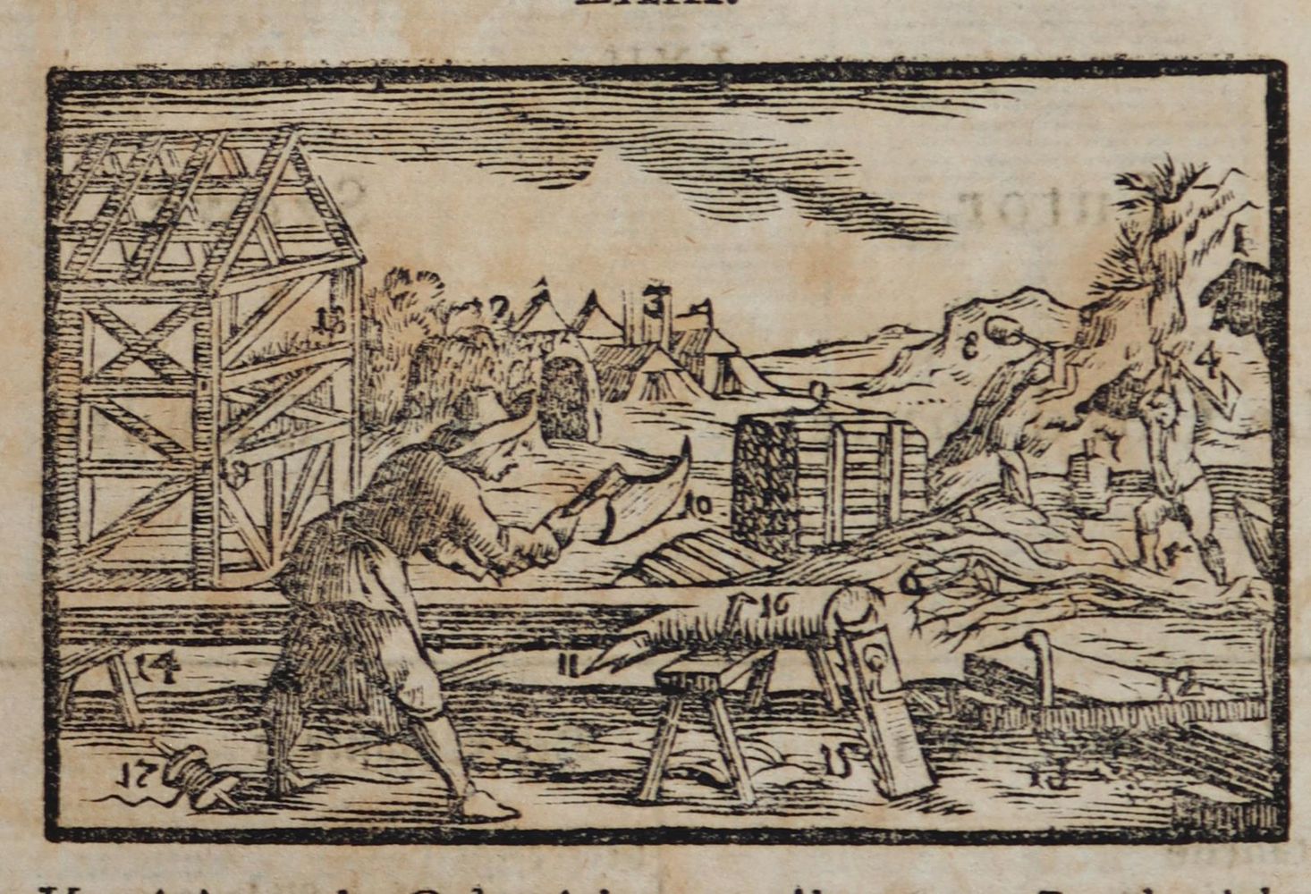 Große Abbildung Nr.4: 142-1355 Sammlung: (Orbis pictus.)