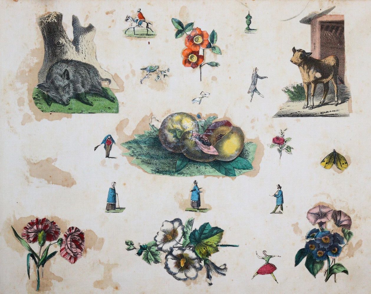 Große Abbildung Nr.2: 142-1377 Scrap-Book.: (Kinder- und Jugendbücher)