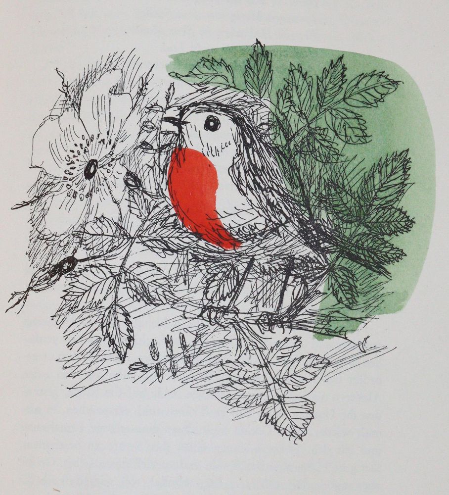 Große Abbildung Nr.6: 142-1579 Boccacio,G.di.: (Literatur und illustrierte Bücher 20.Jahrhundert - Alte Literatur in modernen Ausgaben)