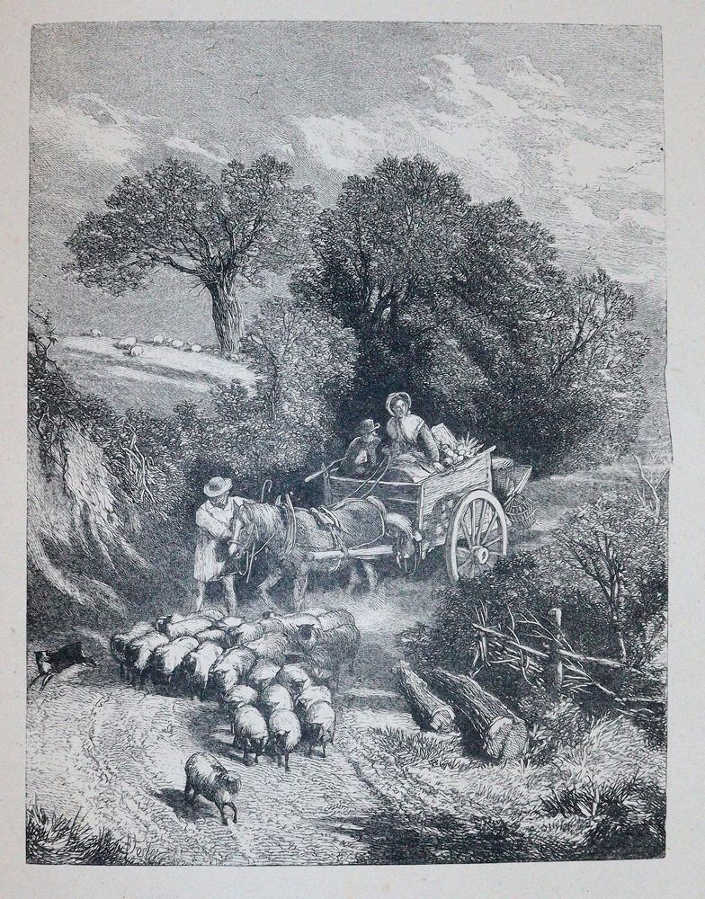 Große Abbildung Nr.5: 142-1630 Foster,B.: (Literatur und illustrierte Bücher 20.Jahrhundert - Alte Literatur in modernen Ausgaben)