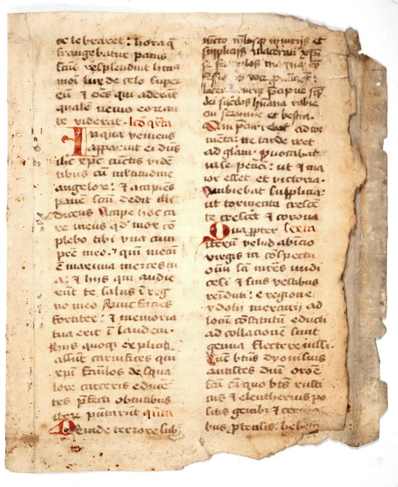 Große Abbildung Nr.1: 142-169 Fragment.: (Handschriften)