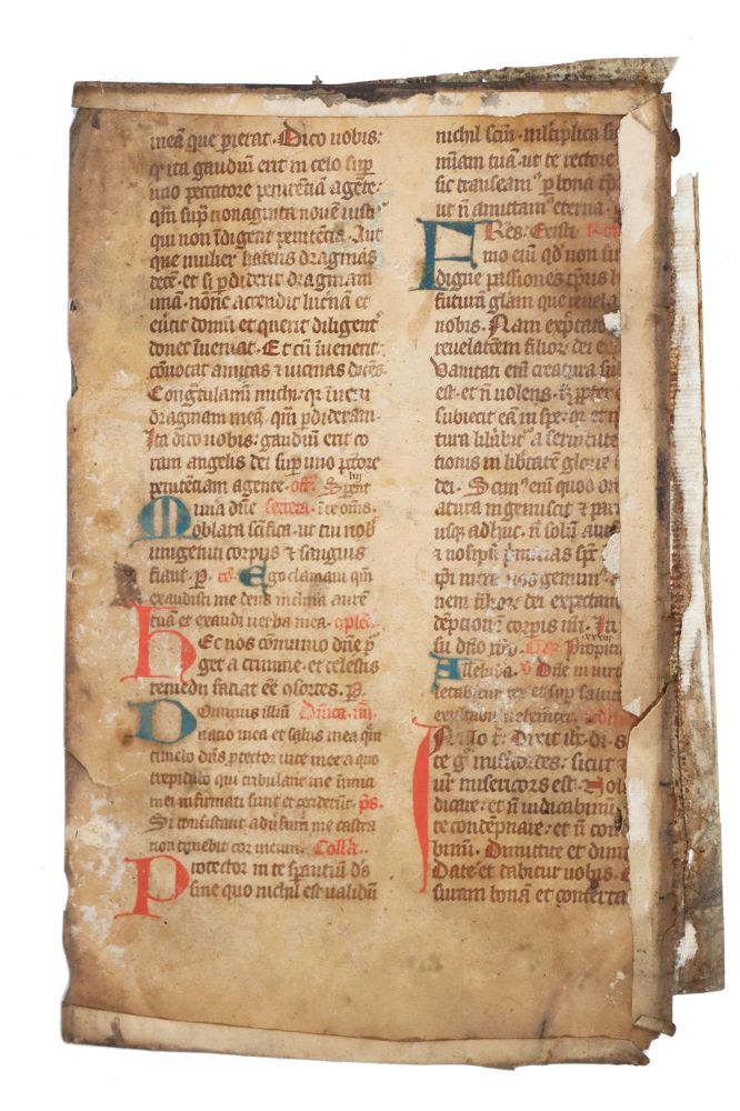 Große Abbildung Nr.1: 142-170 Fragmente.: (Handschriften)