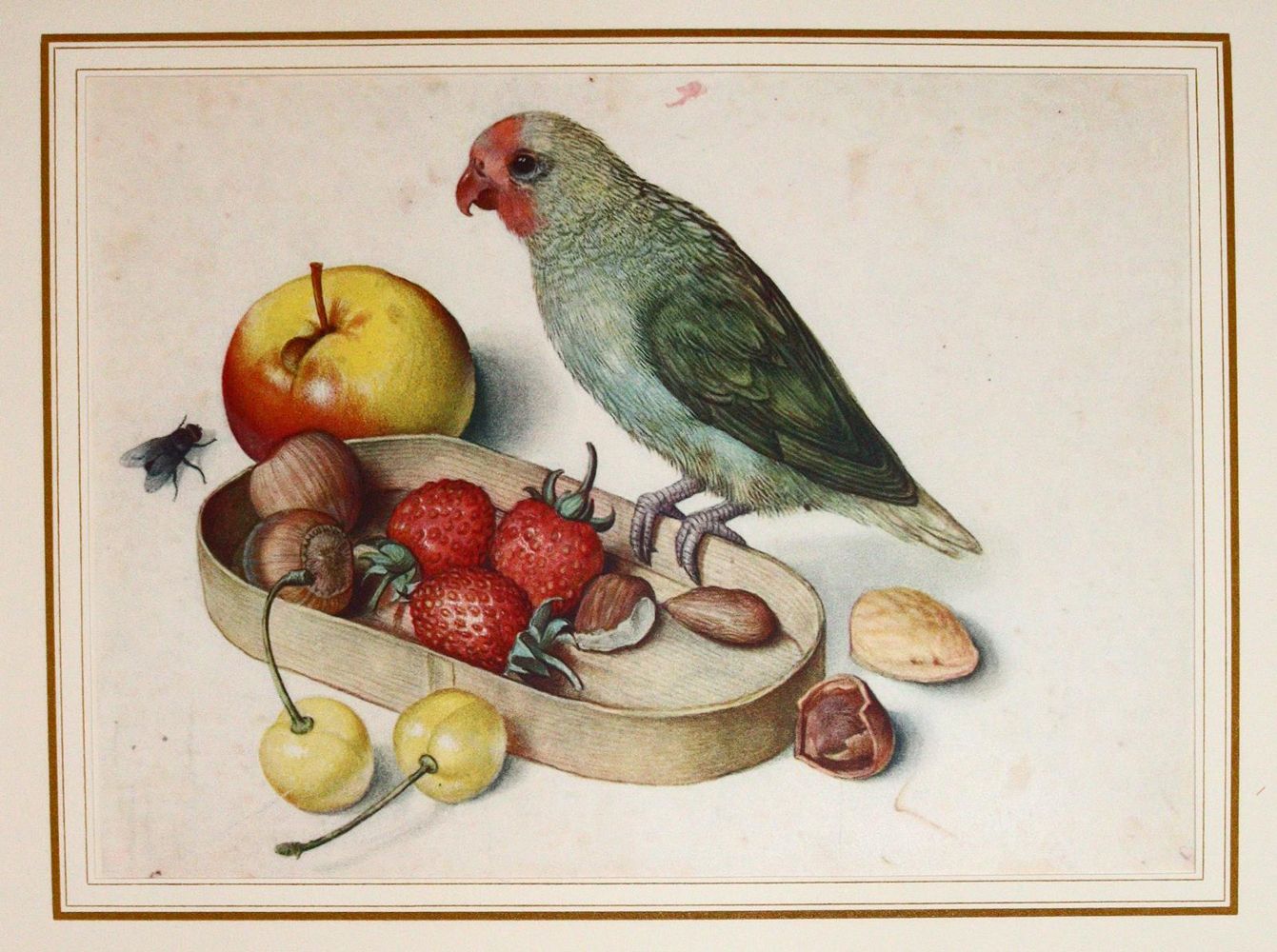 Große Abbildung Nr.11: 142-1714 Kurt Fuchs.: (Literatur und illustrierte Bücher 20.Jahrhundert - Alte Literatur in modernen Ausgaben)