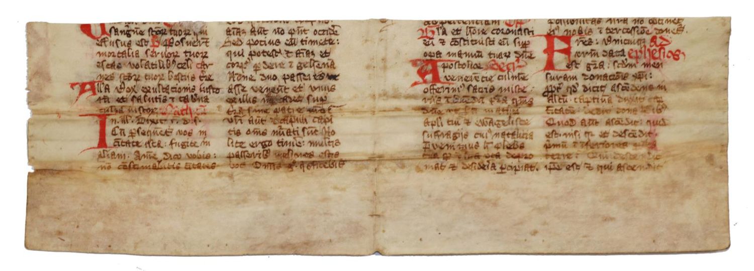 Große Abbildung Nr.3: 142-172 Fragmente.: (Handschriften)