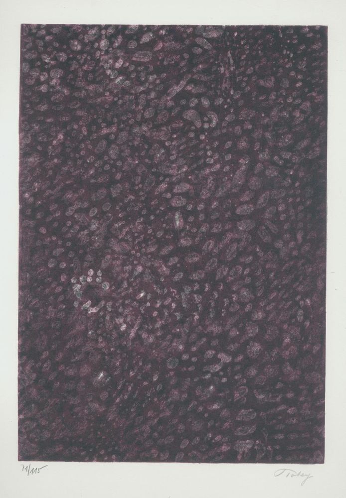 Große Abbildung Nr.18: 142-1741 Cassou,J.: (Miro, Poliakoff)
