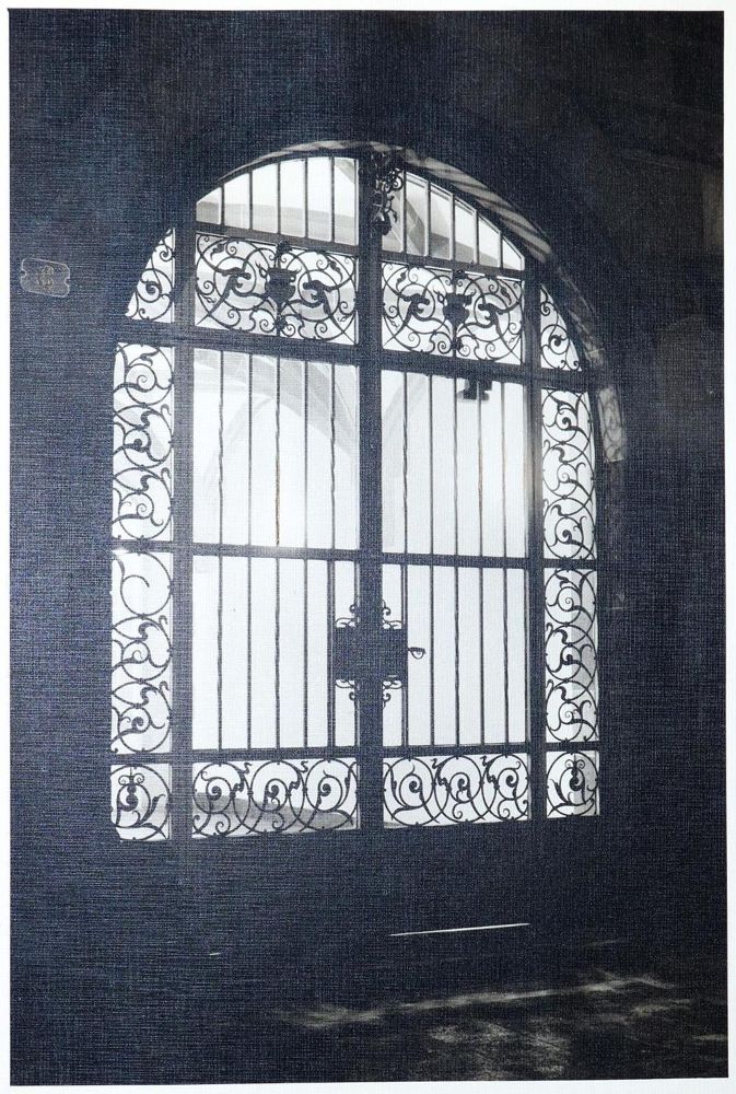 Große Abbildung Nr.1: 142-1769 Wolff, Paul & Tritschler: (Photographie)