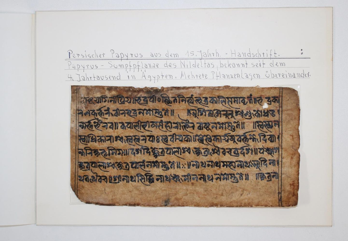 Große Abbildung Nr.1: 142-181 Persischer Papyrus: (Handschriften)