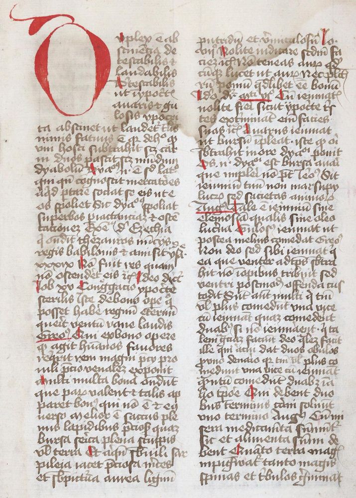 Große Abbildung Nr.1: 142-184 Ribelin von Straßburg, Hugo: (Handschriften)