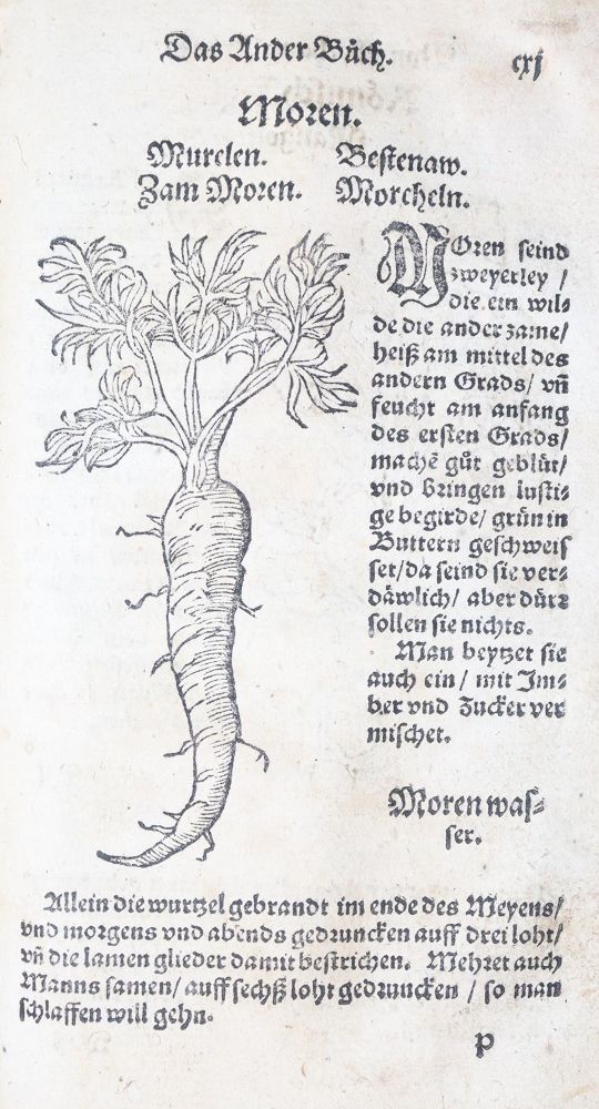Große Abbildung Nr.27: 142-1871 Ryff,W.H. (Pseud. Q.Apollinaris).: (Botanik, Kräuterbücher)