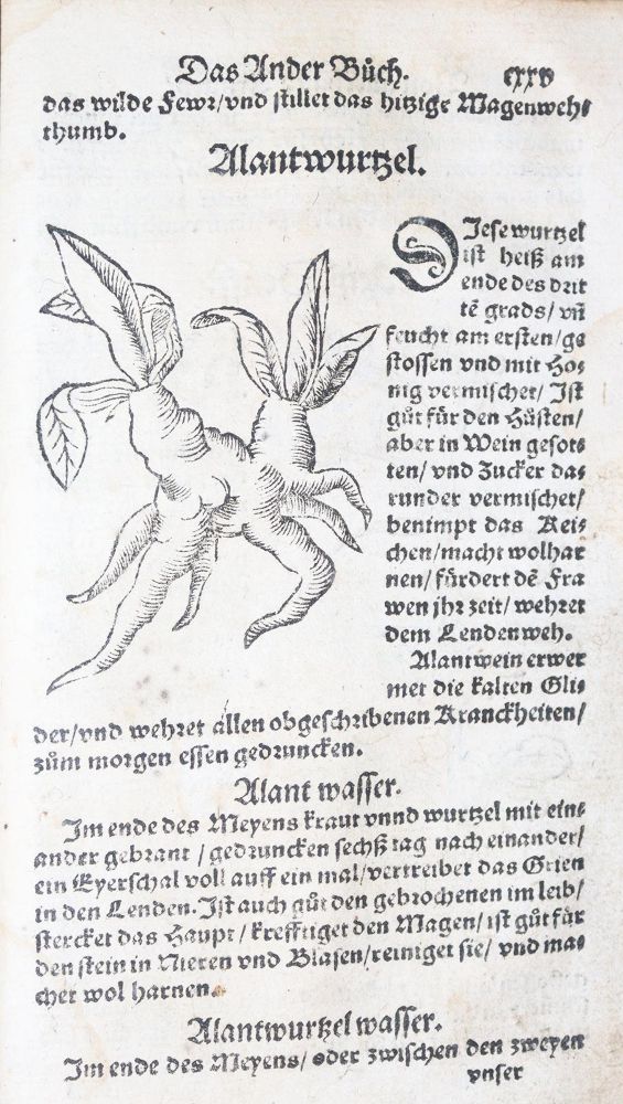 Große Abbildung Nr.29: 142-1871 Ryff,W.H. (Pseud. Q.Apollinaris).: (Botanik, Kräuterbücher)