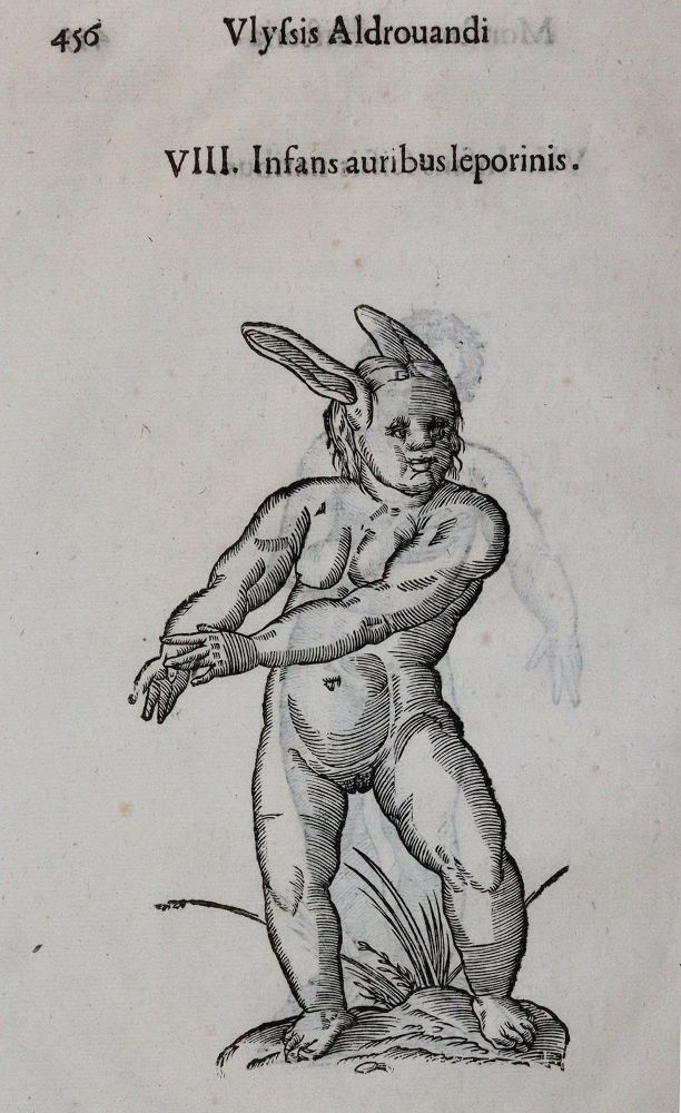 Große Abbildung Nr.1: 142-1879 Aldrovandi,U.: (Medizin)
