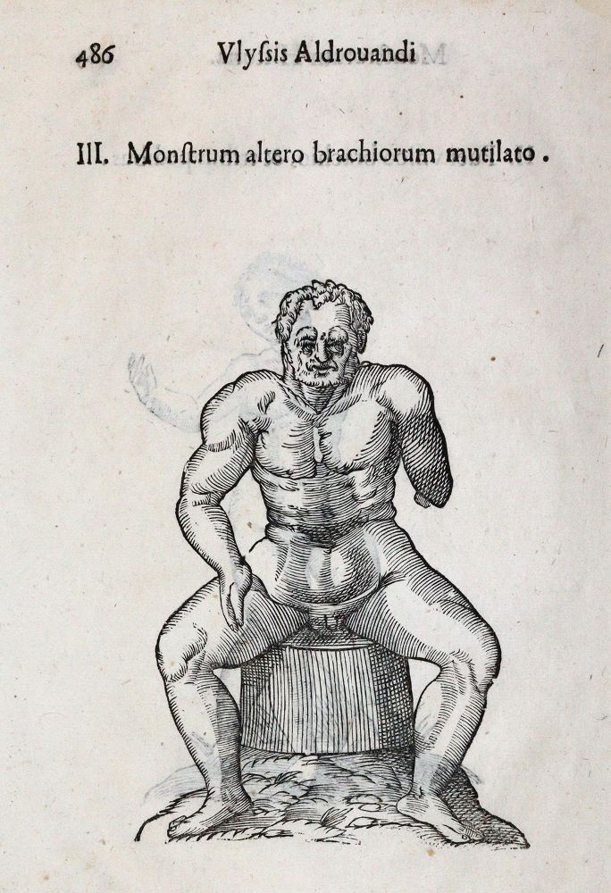 Große Abbildung Nr.4: 142-1879 Aldrovandi,U.: (Medizin)