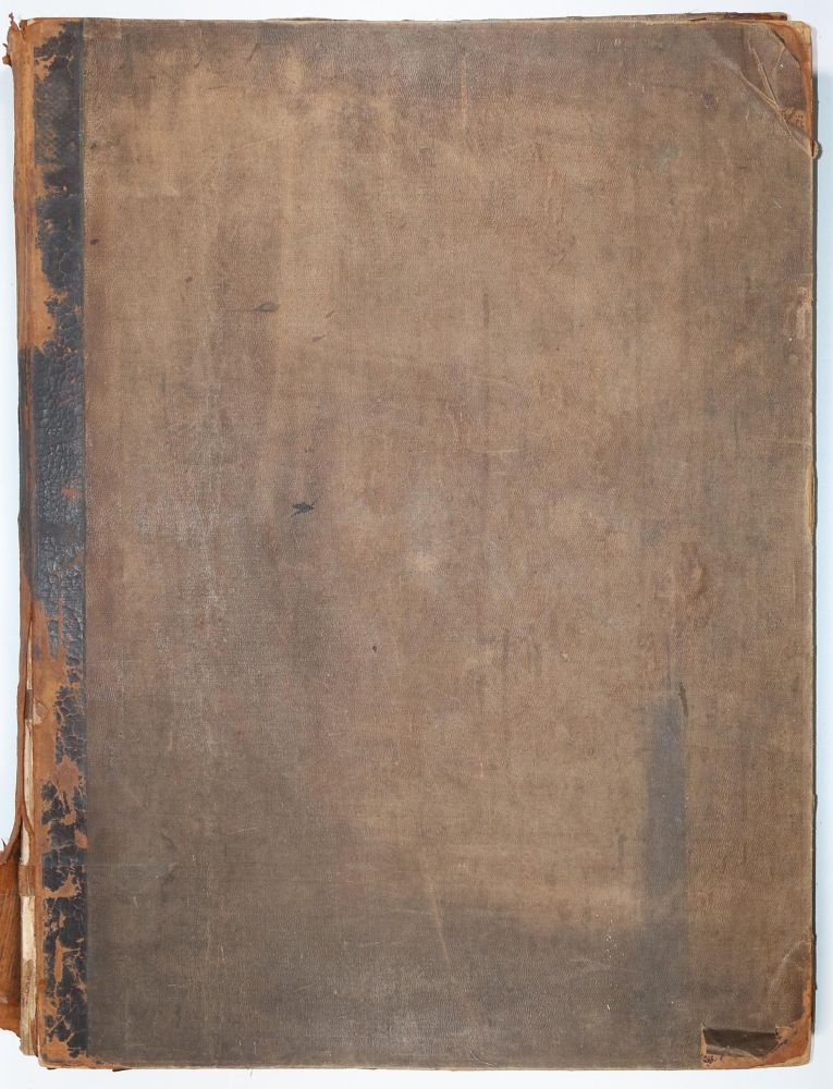 Große Abbildung Nr.22: 142-1880 Tiedemann,F.: (Medizin, Anatomie)
