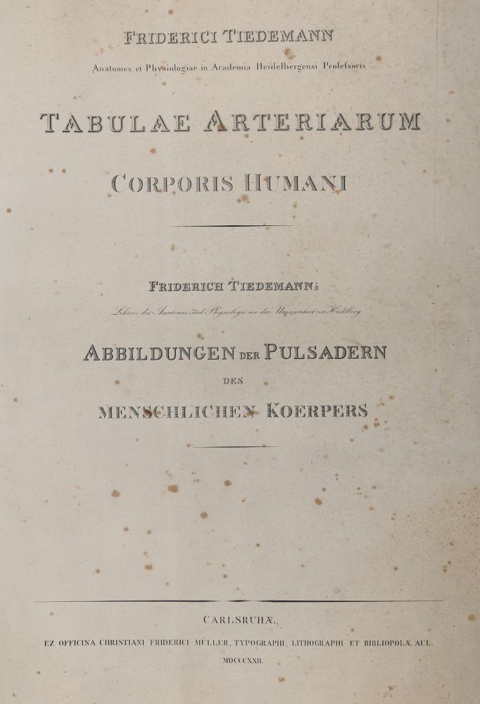 Große Abbildung Nr.23: 142-1880 Tiedemann,F.: (Medizin, Anatomie)