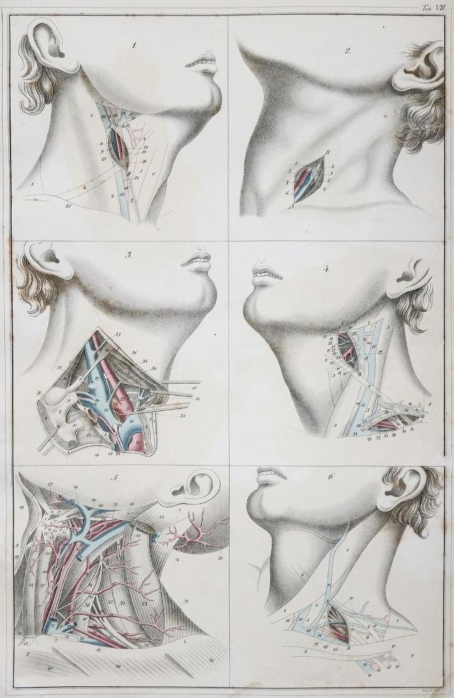 Große Abbildung Nr.3: 142-1888 Blasius,E.: (Medizin)